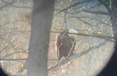 Scenic Views & River Access, Cozy River Home - Foto 54