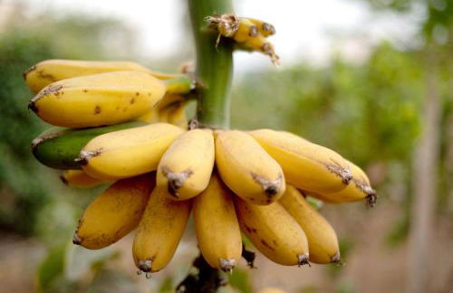 Apartamento las Viñas 1 - Foto 27