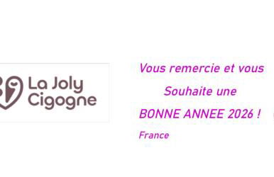 L Alsacienne F2 centre ville - Foto 56