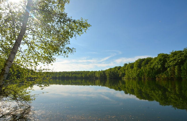 Luxury Tree Loft Tree Cabin for 4 People 4 - Foto 24