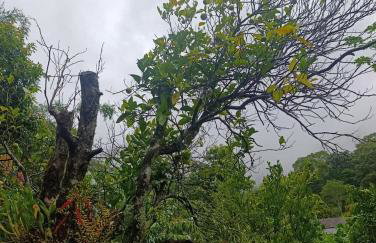 Recanto do Açai - Foto 32