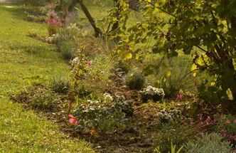 Agriturismo Riparossa - Foto 48