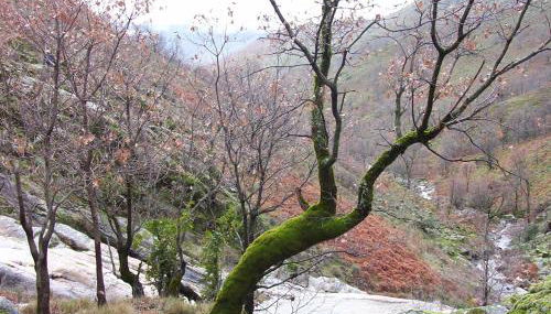 La casita del jerte - Foto 5