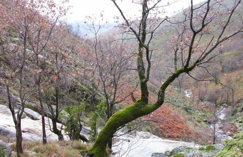 La casita del jerte - Foto 5