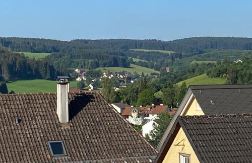 Schwarzwaldblick - Foto 2