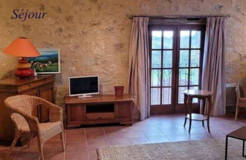 Château Tour du XIII siècle Gazaupouy - Photo 44