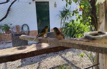 Quinta da Ponte das Hortas 2 - Foto 18