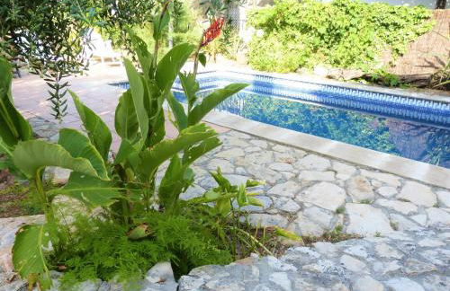 Hort de la Cinteta - Foto 77