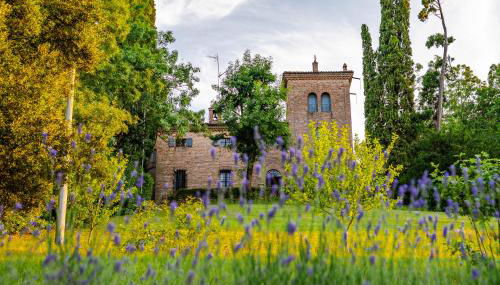 Rocchetta Cionini - a Castle overlooking the Motor Valley - Foto 2, Garden, Garden view