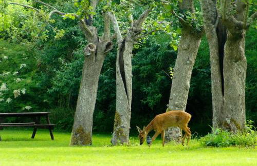 2 Bed in Wedmore oc-51342 - Foto 33