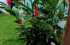 Cantinho para descansar à 200mts da praia. - Foto 32