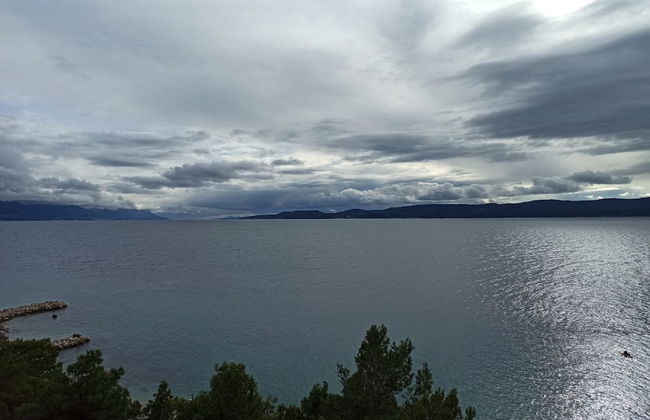 Apartments Tamara - Foto 58