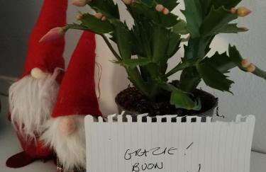 un balcone sul lago - Foto 8