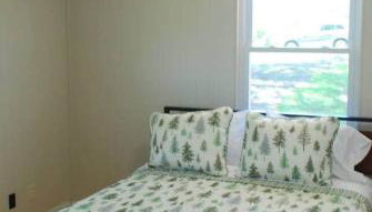 Fire Pit Cabin Retreat - Sleeps 6 - 1hr from STL - Foto 4