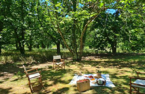 Villa Flavia - Foto 60