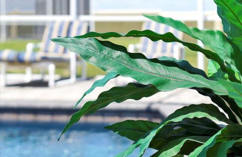 Happy Planet II - Foto 6