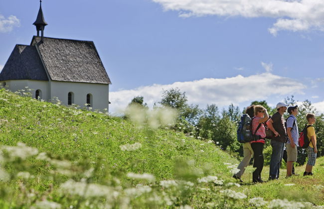 Aragon T100 - Foto 53