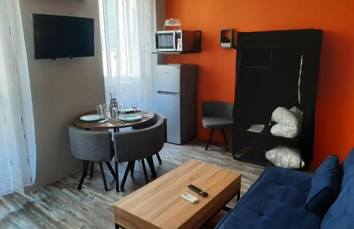 3 Apt T2 COSY de 40 à 50 M2 Idéal pour un déplacement PRO " Les IRIS " - Foto 20