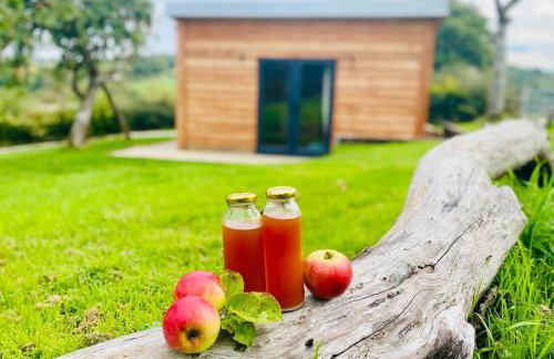 The Apple Shed - cosy cabin nestled in orchard in rural Devon - Foto 27