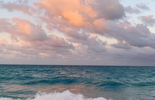 Palm Beach Island Condominiums - Photo 26