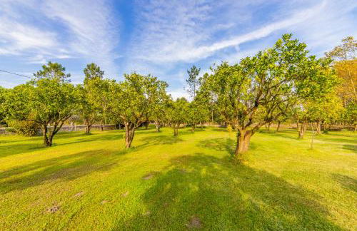 Casa do Sobreiro - Foto 68