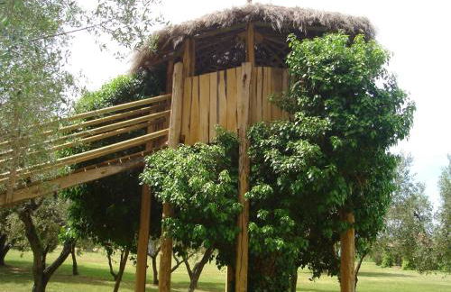 Agriturismo Il Vignone - Foto 20