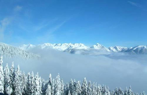 Pension Hofer - Foto 12