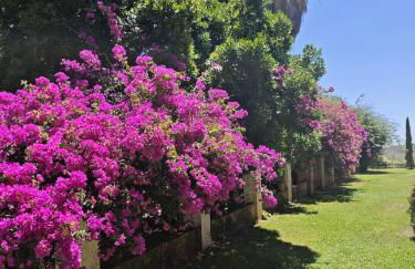 Finca La Favorita- Suites - Foto 7