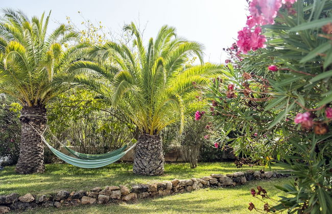 The Palm Star Ibiza - Adults Only - Foto 24