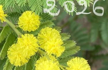 Les Genêts - Foto 35