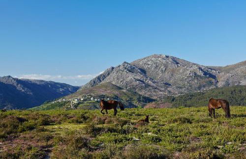 Casa de Pereiró - Foto 51