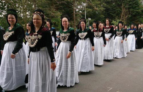 Midlum Stieglitz - Foto 15