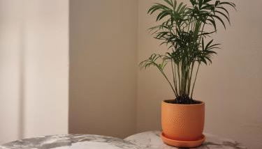 A Apartments - Foto 1