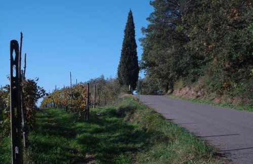 I Rondoni Villa - Foto 33