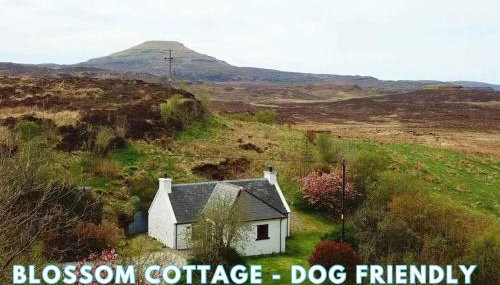 Araucaria Croft Skye - Photo 4