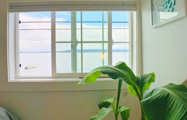 Bodhi's BumGalow - Photo 29