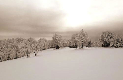 Au Repos du Fayé - Foto 20