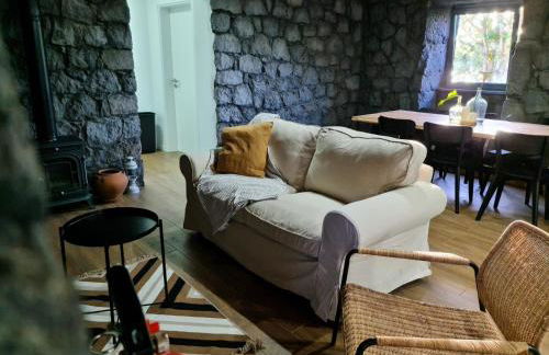 Quinta do Caminho da Igreja TER-Casas de Campo - Foto 11