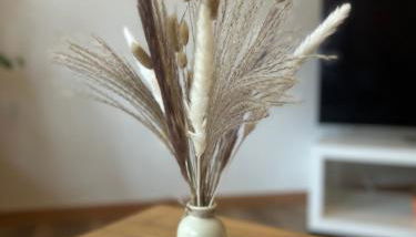 Homestay - Ferienwohnung Apfelgarten - Foto 4