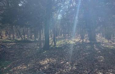 Texoma Getaway - Tiny House on a Pharm - Foto 36