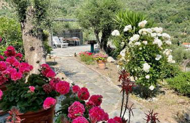 Casa Belvedere - Foto 48