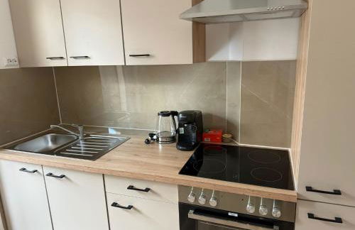 Apartment 2 Zimmer Küche Bad TV Garten WLAN - Foto 10