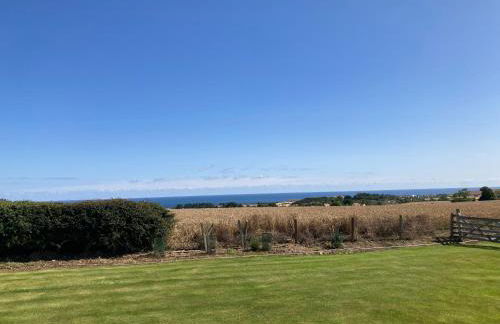 The Hawthorn Shepherds Hut - Photo 29