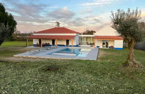 Monte Casa Branca - Foto 14