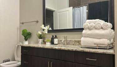 Luxury Energy Corridor - Foto 4