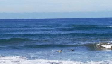 calandria las palmas - Foto 2