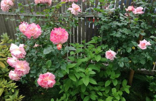 Schöne, große Ferienwohnung in Waldenbuch, nahe Stuttgart Messe, Böblingen, Sindelfingen - Foto 37