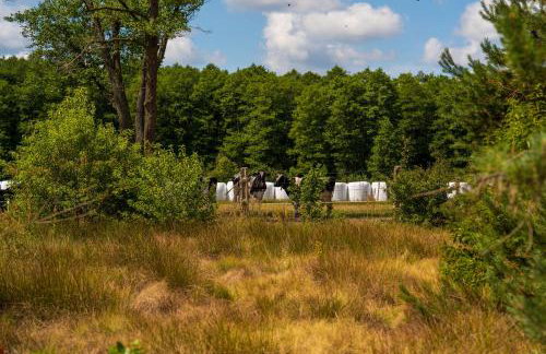 Arche Siedlisko Gołubowszczyzna - Foto 18