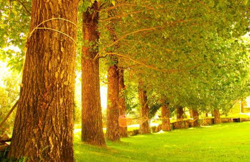 Casa da Ponte - Foto 10