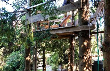 Willa Brzozówka - Photo 6